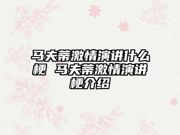 马夫蒂激情演讲什么梗 马夫蒂激情演讲梗介绍