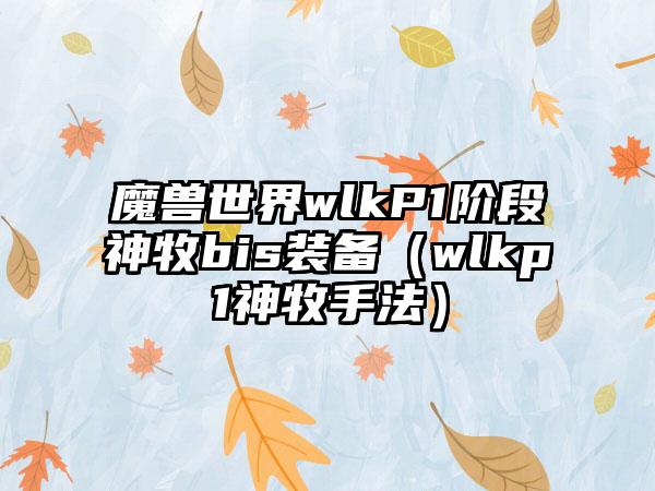 魔兽世界wlkP1阶段神牧bis装备（wlkp1神牧手法）