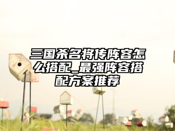 三国杀名将传阵容怎么搭配_最强阵容搭配方案推荐