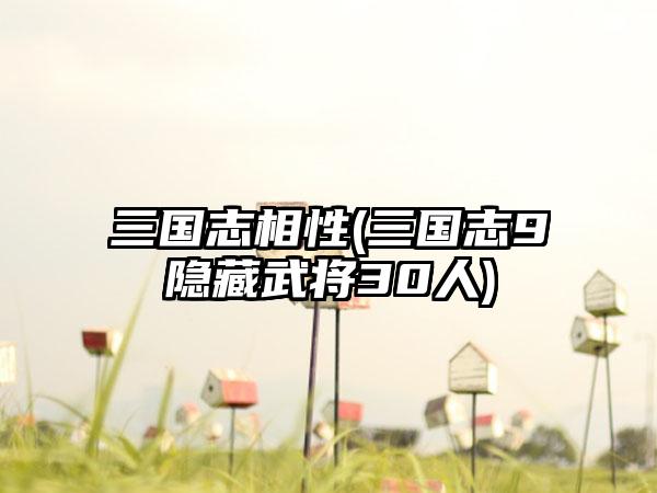 三国志相性(三国志9隐藏武将30人)