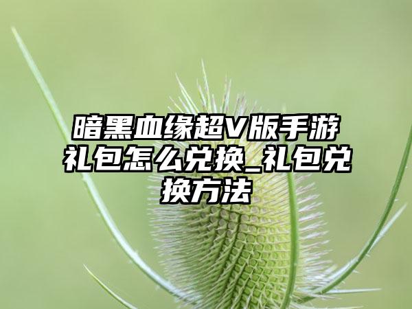 暗黑血缘超V版手游礼包怎么兑换_礼包兑换方法