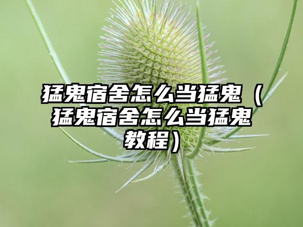 猛鬼宿舍怎么当猛鬼（猛鬼宿舍怎么当猛鬼教程）