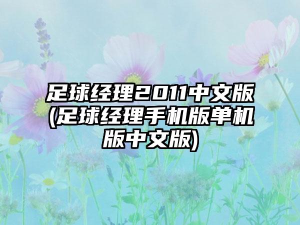 足球经理2011中文版(足球经理手机版单机版中文版)