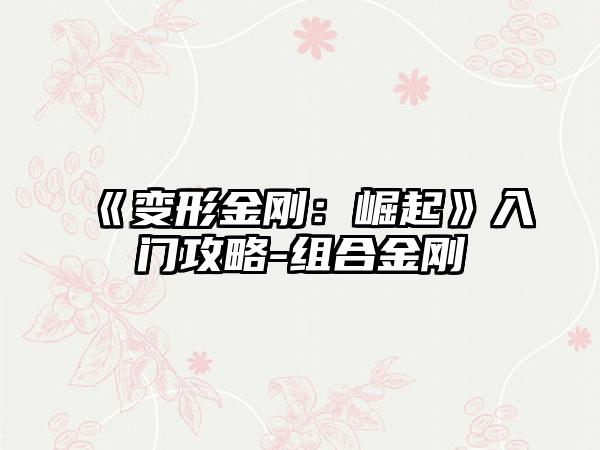 《变形金刚：崛起》入门攻略-组合金刚