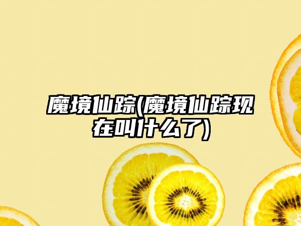 魔境仙踪(魔境仙踪现在叫什么了)