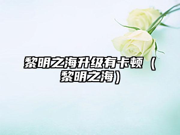 黎明之海升级有卡顿（黎明之海）