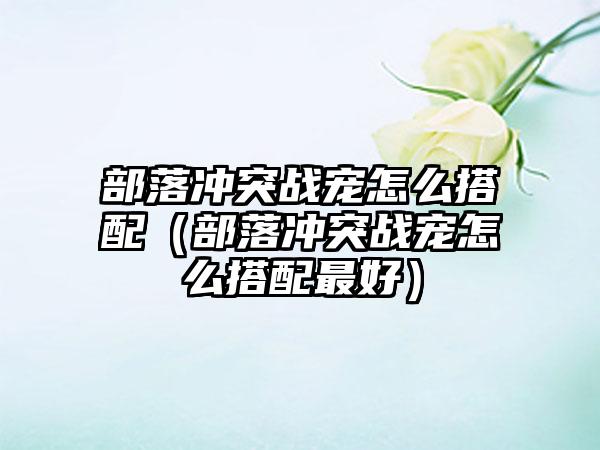 部落冲突战宠怎么搭配（部落冲突战宠怎么搭配最好）