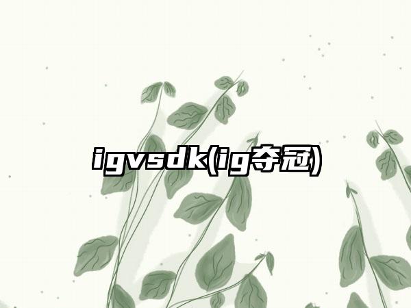 igvsdk(ig夺冠)