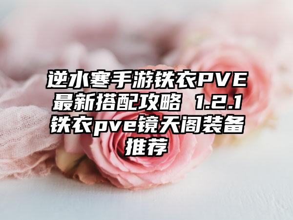 逆水寒手游铁衣PVE最新搭配攻略 1.2.1铁衣pve镜天阁装备推荐