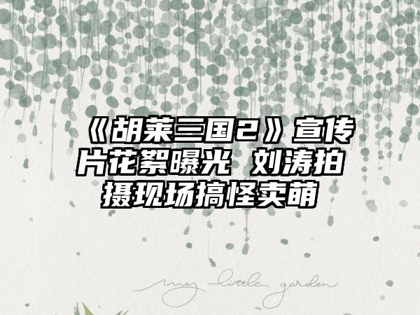 《胡莱三国2》宣传片花絮曝光 刘涛拍摄现场搞怪卖萌