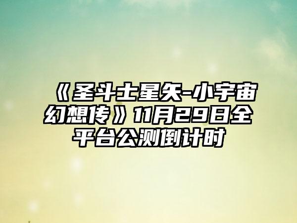 《圣斗士星矢-小宇宙幻想传》11月29日全平台公测倒计时