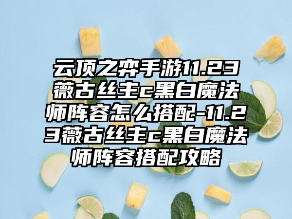 云顶之弈手游11.23薇古丝主c黑白魔法师阵容怎么搭配-11.23薇古丝主c黑白魔法师阵容搭配攻略