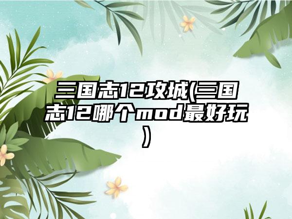 三国志12攻城(三国志12哪个mod最好玩)