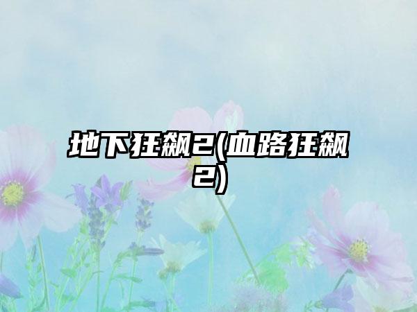 地下狂飙2(血路狂飙2)