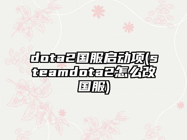 dota2国服启动项(steamdota2怎么改国服)