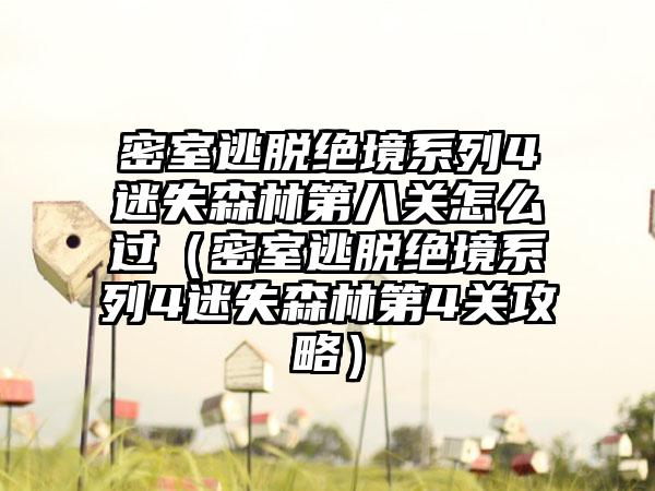 密室逃脱绝境系列4迷失森林第八关怎么过（密室逃脱绝境系列4迷失森林第4关攻略）