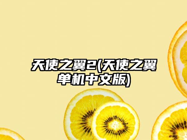天使之翼2(天使之翼单机中文版)