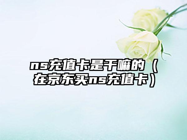 ns充值卡是干嘛的（在京东买ns充值卡）