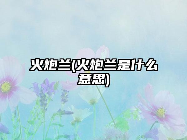 火炮兰(火炮兰是什么意思)