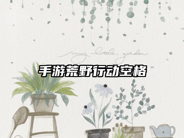 手游荒野行动空格