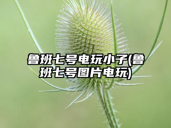 鲁班七号电玩小子(鲁班七号图片电玩)