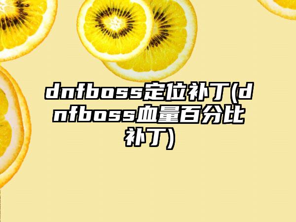 dnfboss定位补丁(dnfboss血量百分比补丁)