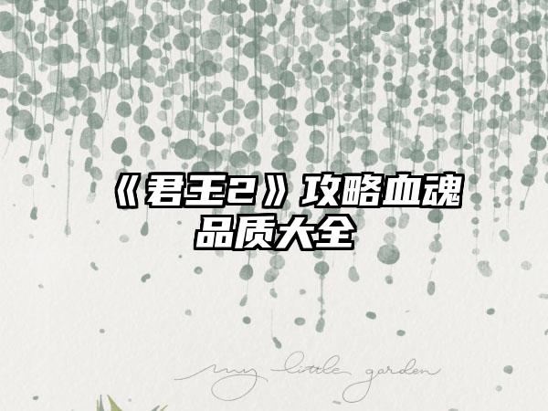 《君王2》攻略血魂品质大全
