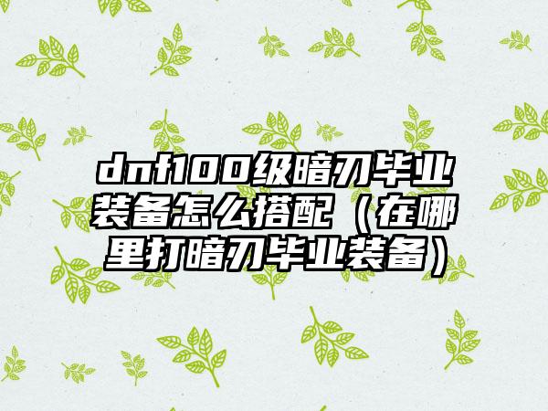 dnf100级暗刃毕业装备怎么搭配（在哪里打暗刃毕业装备）