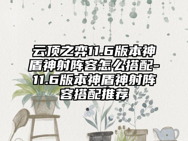 云顶之弈11.6版本神盾神射阵容怎么搭配-11.6版本神盾神射阵容搭配推荐