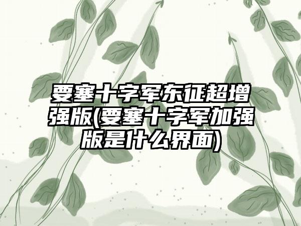 要塞十字军东征超增强版(要塞十字军加强版是什么界面)