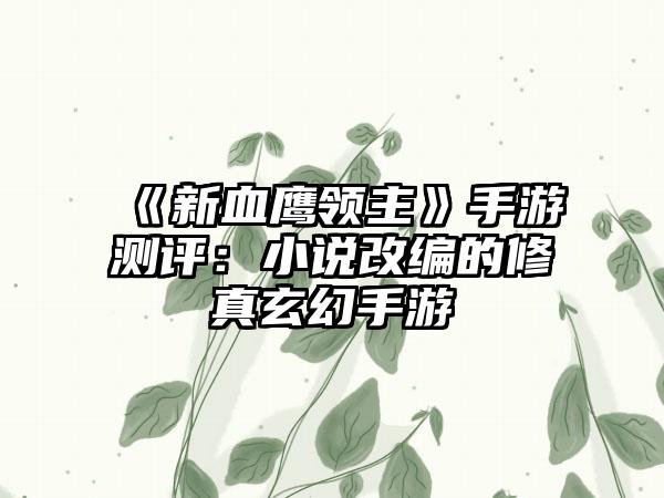 《新血鹰领主》手游测评：小说改编的修真玄幻手游