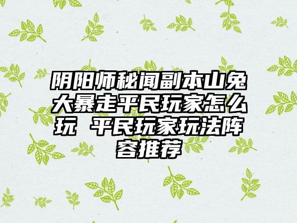 阴阳师秘闻副本山兔大暴走平民玩家怎么玩 平民玩家玩法阵容推荐