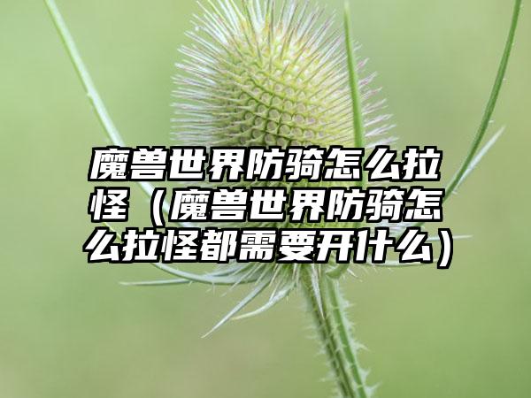 魔兽世界防骑怎么拉怪（魔兽世界防骑怎么拉怪都需要开什么）
