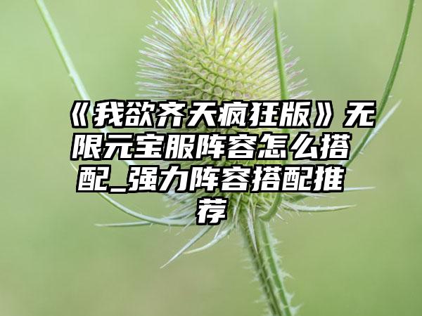 《我欲齐天疯狂版》无限元宝服阵容怎么搭配_强力阵容搭配推荐