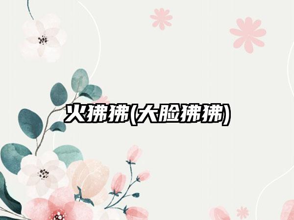 火狒狒(大脸狒狒)