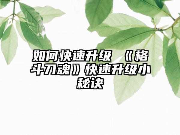 如何快速升级 《格斗刀魂》快速升级小秘诀