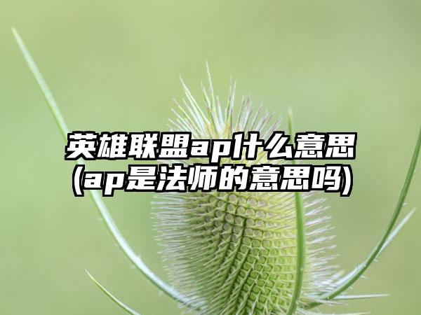 英雄联盟ap什么意思(ap是法师的意思吗)