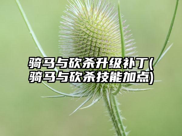 骑马与砍杀升级补丁(骑马与砍杀技能加点)