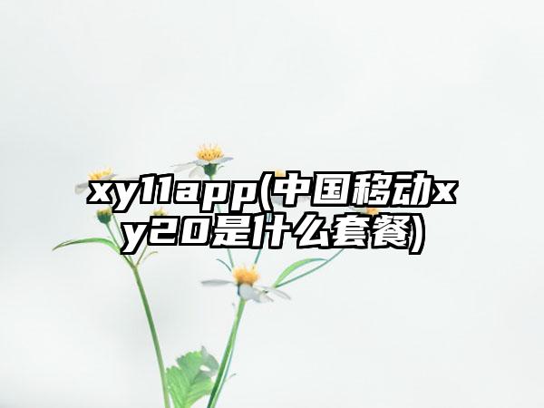 xy11app(中国移动xy20是什么套餐)