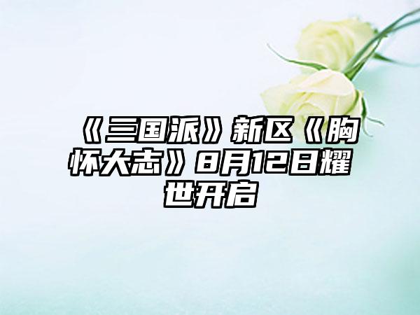 《三国派》新区《胸怀大志》8月12日耀世开启