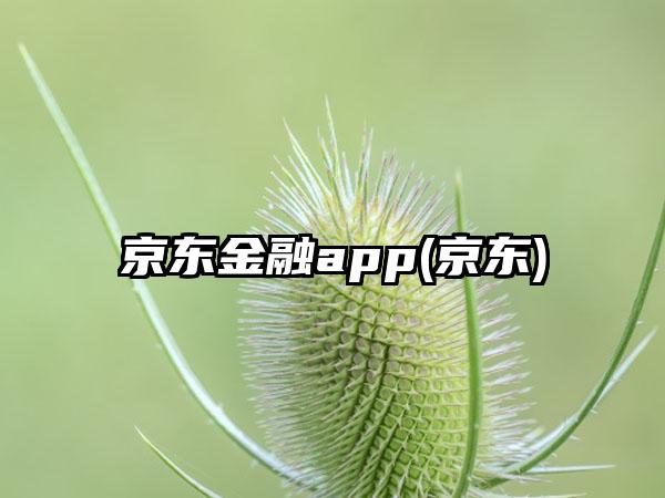 京东金融app(京东)