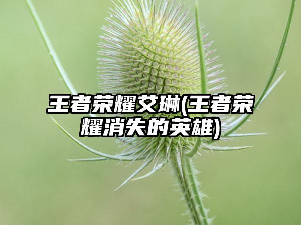 王者荣耀艾琳(王者荣耀消失的英雄)