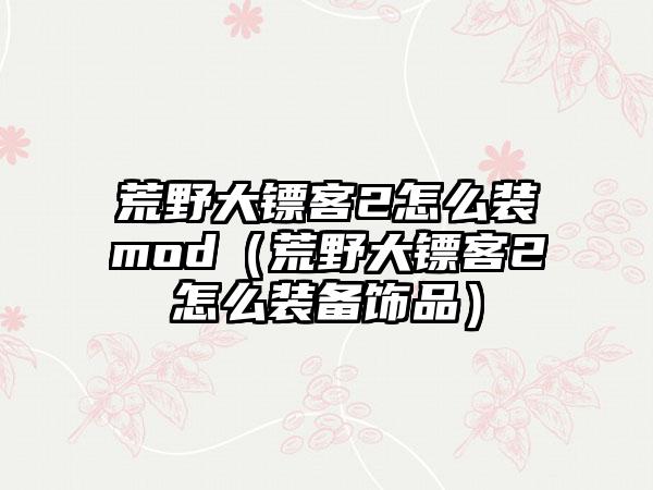 荒野大镖客2怎么装mod（荒野大镖客2怎么装备饰品）