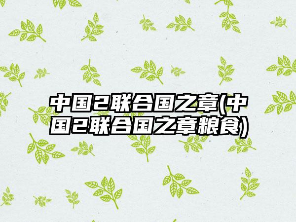 中国2联合国之章(中国2联合国之章粮食)