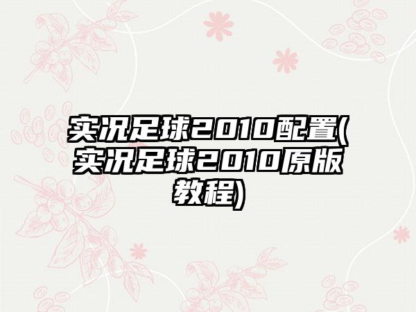 实况足球2010配置(实况足球2010原版教程)