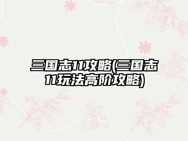 三国志11攻略(三国志11玩法高阶攻略)