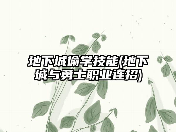 地下城偷学技能(地下城与勇士职业连招)