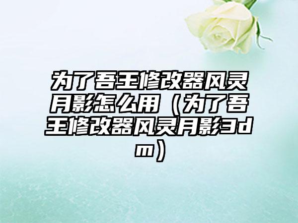 为了吾王修改器风灵月影怎么用（为了吾王修改器风灵月影3dm）