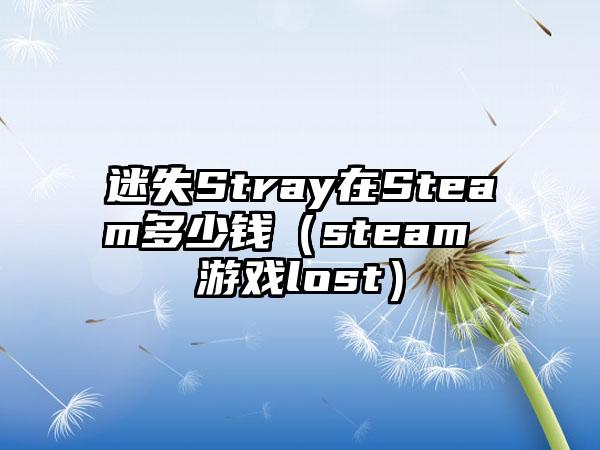 迷失Stray在Steam多少钱（steam 游戏lost）