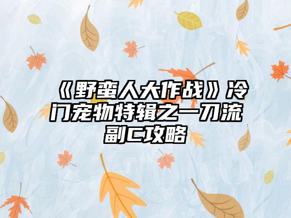 《野蛮人大作战》冷门宠物特辑之一刀流副C攻略